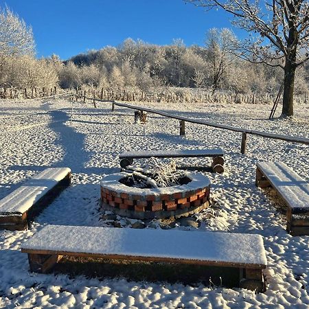 Villa Casuta Din Stejari-Transalpina à Novaci-Străini Extérieur photo