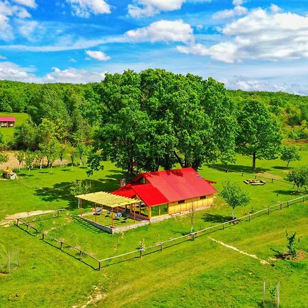 Villa Casuta Din Stejari-Transalpina à Novaci-Străini Extérieur photo