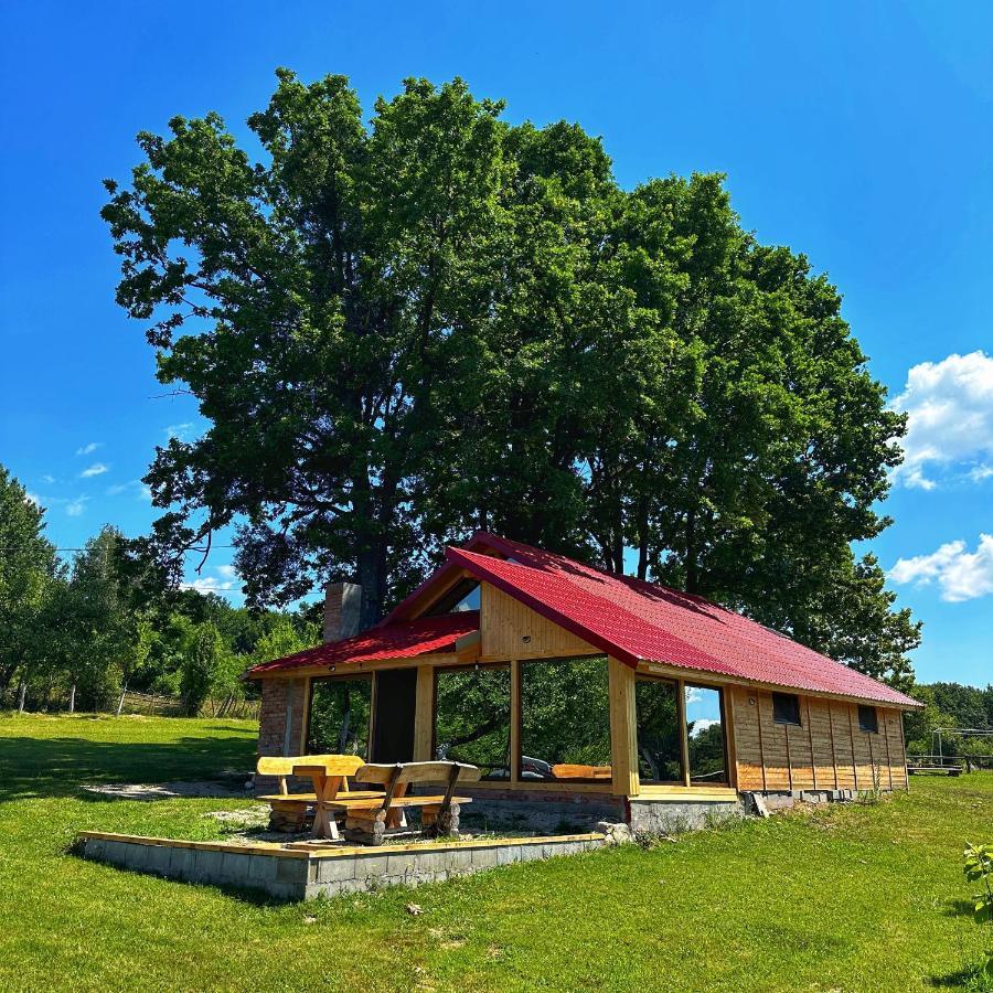 Villa Casuta Din Stejari-Transalpina à Novaci-Străini Extérieur photo