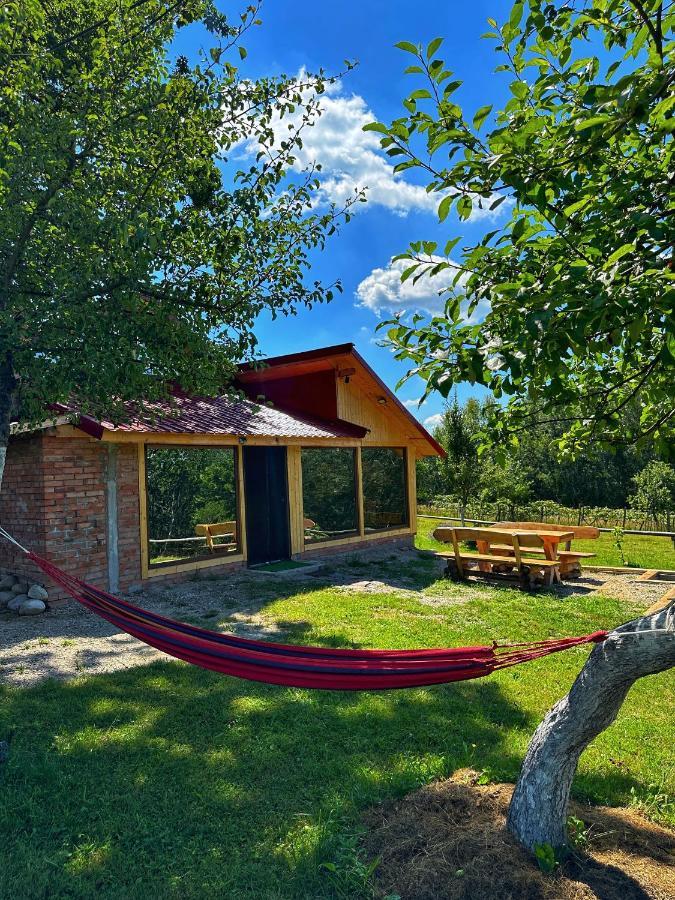 Villa Casuta Din Stejari-Transalpina à Novaci-Străini Extérieur photo