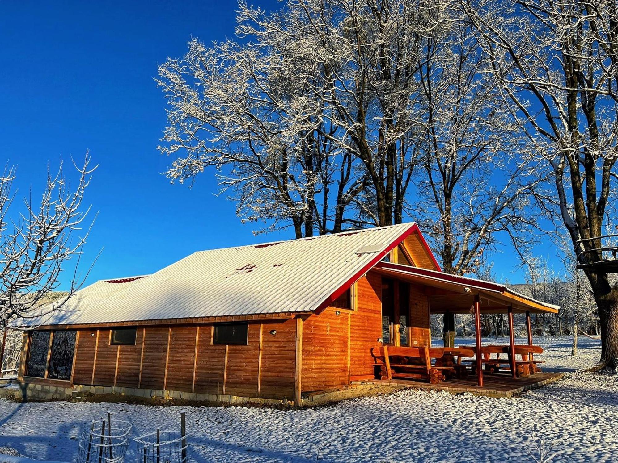Villa Casuta Din Stejari-Transalpina à Novaci-Străini Extérieur photo