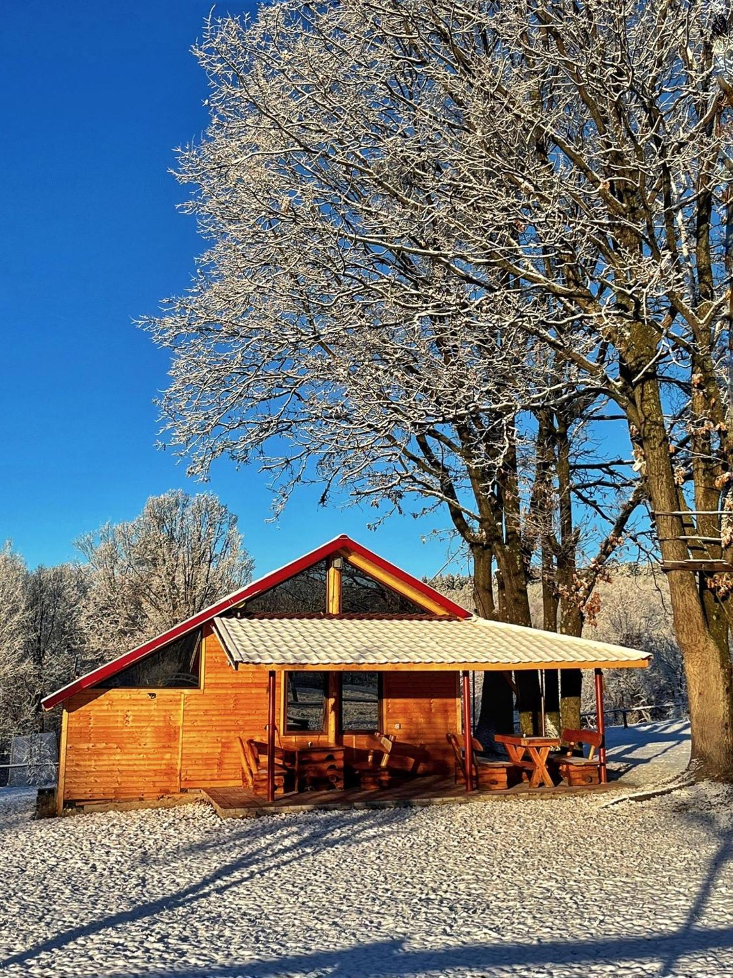 Villa Casuta Din Stejari-Transalpina à Novaci-Străini Extérieur photo