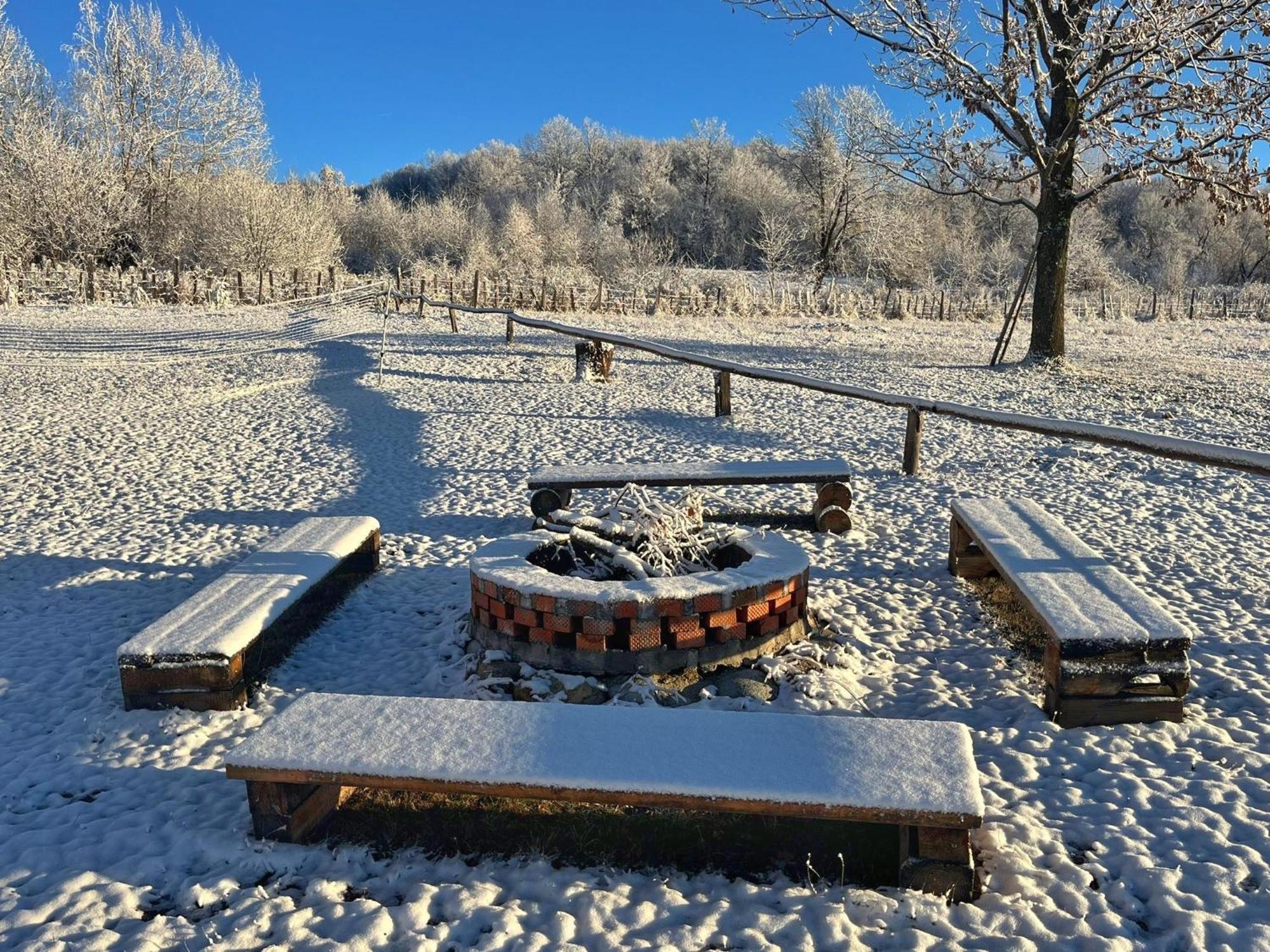 Villa Casuta Din Stejari-Transalpina à Novaci-Străini Extérieur photo
