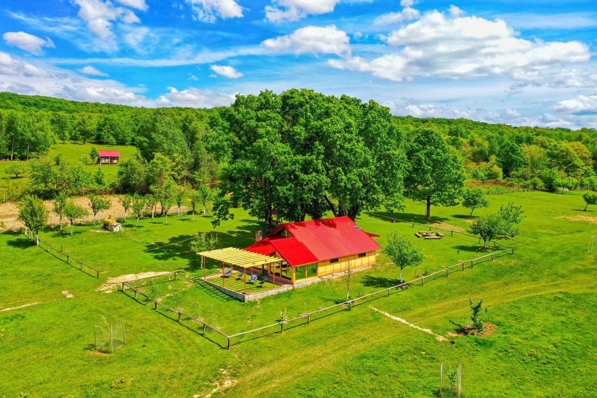 Villa Casuta Din Stejari-Transalpina à Novaci-Străini Extérieur photo